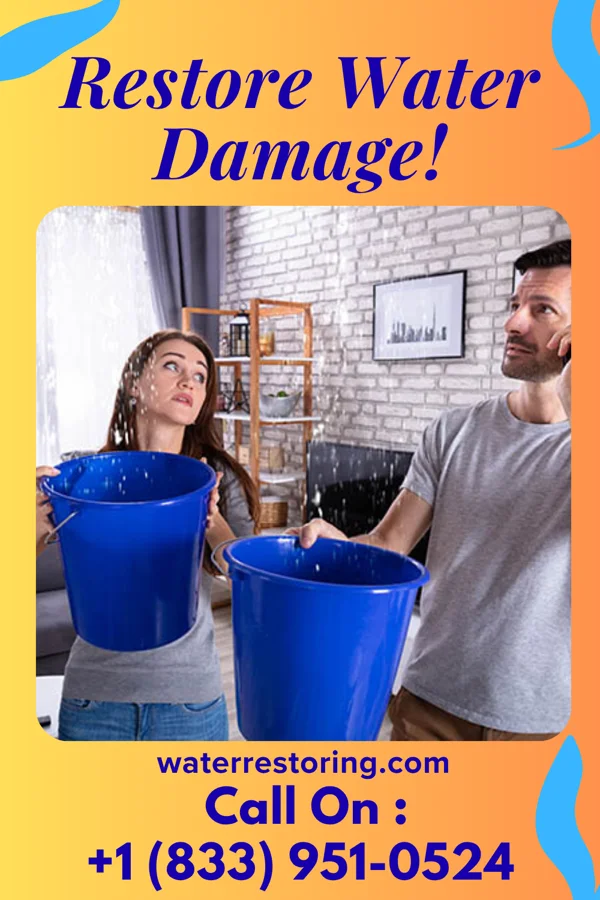 water restoration Apex Water Mitigation Contractors Carthage